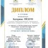 Перемога студентки 4 курсу спеціальності «Політологія» Катерини ПІСКУН у Всеукраїнському конкурсі наукових есе.