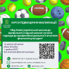 Від Нової української школи до профільної старшої школи: сучасні підходи до професійної діяльності вчителя фізичної культури