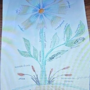 CREATOR: gd-jpeg v1.0 (using IJG JPEG v62), quality = 90?