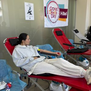 donatImage11