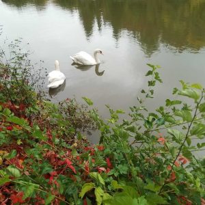 Image04
