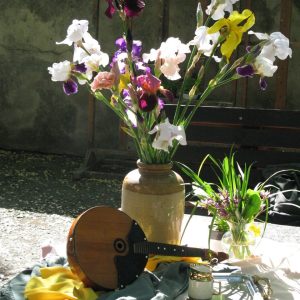irysImage02